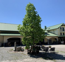 Haus zum Kaufen in Bad Füssing 1.650.000,00 € 600 m²