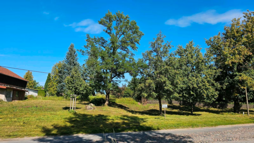 Foto - Grundstück zu verkaufen in Oberbarnim 86.000,00 € 660 m²