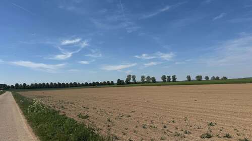 Foto - Grundstück zu verkaufen in Blaustein 120.000,00 € 15586 m²