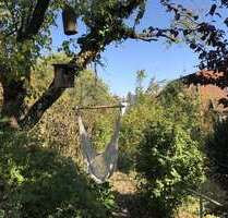 Wohnung zum Mieten in Stuttgart 2.100,00 € 100 m²