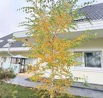 Haus zum Kaufen in Balge 3.581.000,00 € 877 m²