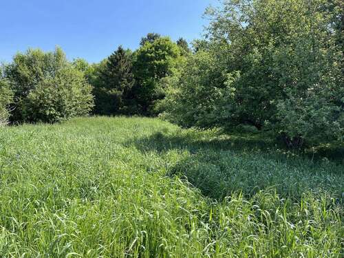 Foto - Grundstück zu verkaufen in Eisolzried 38.000,00 € 985 m²