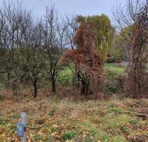 Grundstück zu verkaufen in Wustermark 297.000,00 € 899 m²