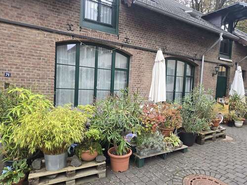 Foto - Haus zum Mieten in Wesseling-Berzdorf 1.464,00 € 122 m²