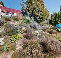 Haus zum Kaufen in Freyburg 49.900,00 € 42 m²