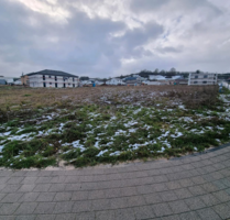 Grundstück zu verkaufen in Welschbillig 115.000,00 € 560 m²