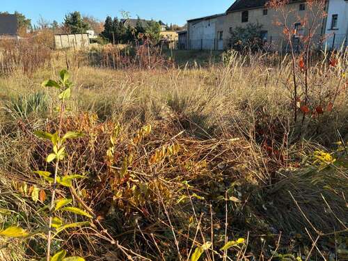 Foto - Grundstück zu verkaufen in Guteborn 48.000,00 € 1681 m²