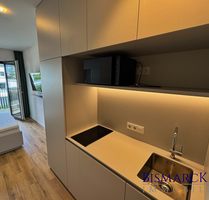 Wohnung zum Mieten in Regensburg 530,00 € 20 m²