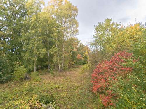 Foto - Grundstück zu verkaufen in Quickborn 1.600.000,00 € 3916 m²