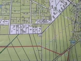 Foto - Grundstück in Borkheide 20.000,00 € 18260 m²