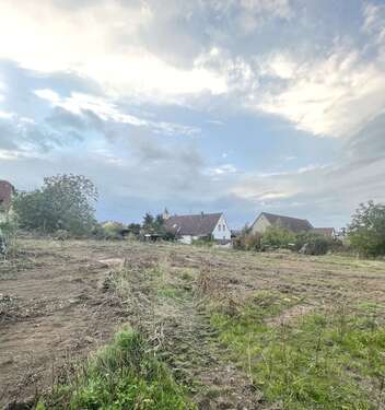 Foto - Haus zum Kaufen in Zornheim 560.400,00 € 110 m²