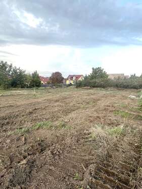 Foto - Haus zum Kaufen in Zornheim 737.000,00 € 145 m²