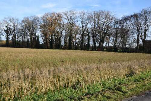 Foto - Grundstück in Nettetal-Leuth 136.200,00 € 13620 m²