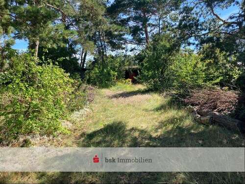 Foto - Grundstück zu verkaufen in Fredersdorf-Vogelsdorf 290.000,00 € 909 m²