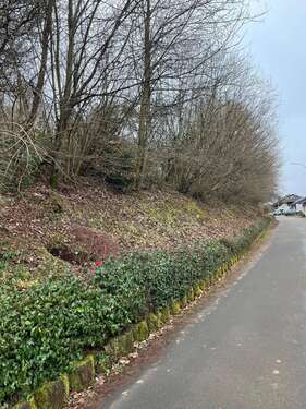 Foto - Grundstück zu verkaufen in Winterbach (Pfalz) 50.000,00 € 991 m²