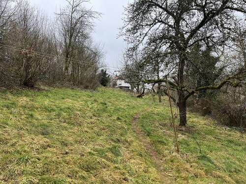 Foto - Grundstück zu verkaufen in Winterbach (Pfalz) 50.000,00 € 991 m²