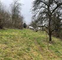 Grundstück zu verkaufen in Winterbach (Pfalz) 50.000,00 € 991 m²