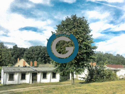 Foto - Haus zum Kaufen in Neuhardenberg 490.000,00 € 465 m²