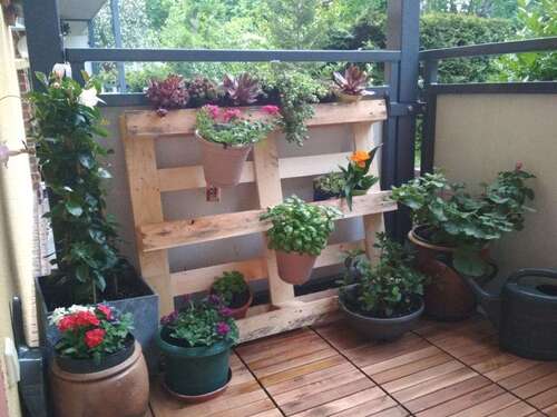 Foto - Wohnung zum Mieten in Cottbus 375,00 € 40.5 m²