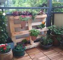 Wohnung zum Mieten in Cottbus 375,00 € 40.5 m²