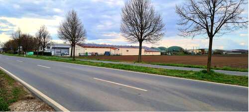 Foto - Halle in Groß-Gerau Wallerstädten 2.500,00 € 500 m²