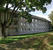 Wohnung zum Mieten in Herford 297,00 € 31.35 m²