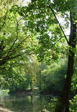 Foto - Wohnung zum Kaufen in Gräfelfing 745.000,00 € 73.87 m²