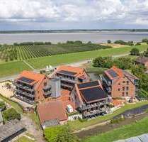 Wohnung zum Kaufen in Grünendeich 421.671,00 € 59 m²