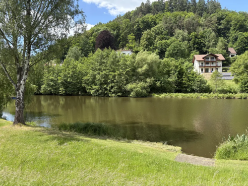 Foto - Grundstück zu verkaufen in Schönau (Pfalz) 215.000,00 € 3090 m²
