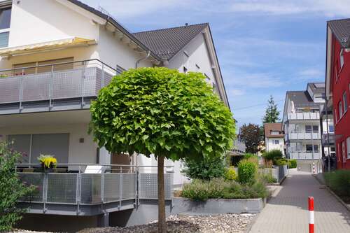 Foto - Wohnung zum Kaufen in Bad Rappenau 350.000,00 € 89.89 m²