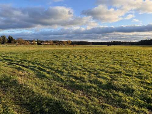 Foto - Grundstück zu verkaufen in Torgelow 89.760,00 € 748 m²