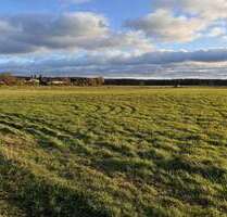 Grundstück zu verkaufen in Torgelow 89.760,00 € 748 m²