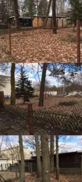 Foto - Grundstück zu verkaufen in Brandenburg - Kolkwitz 112.145,00 € 2000 m²