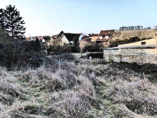 Foto - Grundstück zu verkaufen in Mommenheim 168.000,00 € 420 m²