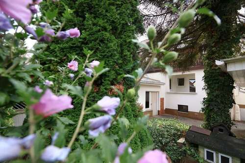 Foto - Haus zum Kaufen in Reinheim 350.000,00 € 185.32 m²