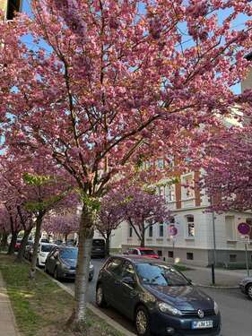 Foto - Wohnung zum Mieten in Braunschweig 560,00 € 62 m²