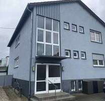 Haus zum Kaufen in Worms 549.000,00 € 230 m²