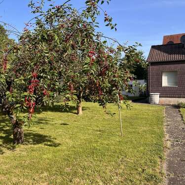 Foto - Haus zum Kaufen in Schwerte 385.000,00 € 188 m²