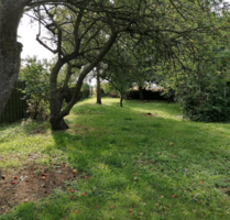 Grundstück zu verkaufen in Kühlungsborn 315.000,00 € 950 m²