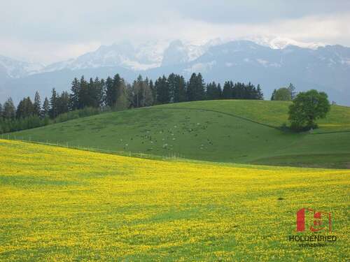 Foto - Grundstück in Unteregg 766.000,00 € 76600 m²