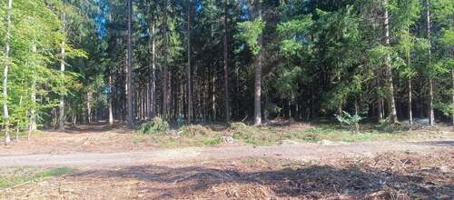 Foto - Grundstück in Bad Waldsee - Osterhofen 50.000,00 € 9578 m²
