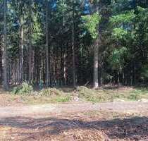 Grundstück in Bad Waldsee - Osterhofen 50.000,00 € 9578 m²