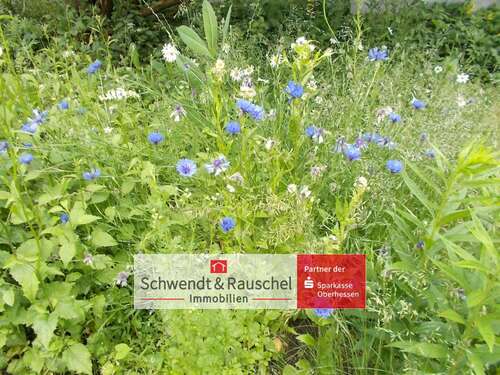 Foto - Grundstück zu verkaufen in Schotten 40.000,00 € 795 m²