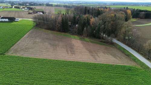 Foto - Grundstück zu verkaufen in Neuhaus am Inn 325.000,00 € 23270 m²