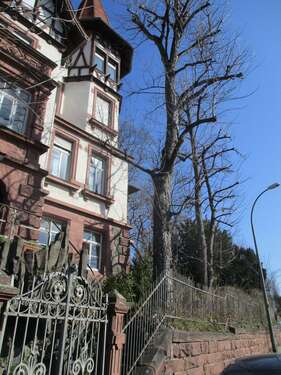 Foto - Wohnung zum Mieten in Pforzheim 600,00 € 92 m²