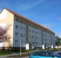 Wohnung zum Mieten in Tribsees 398,00 € 66.3 m²