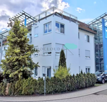 Wohnung zum Kaufen in Jettingen 150.000,00 € 50 m²