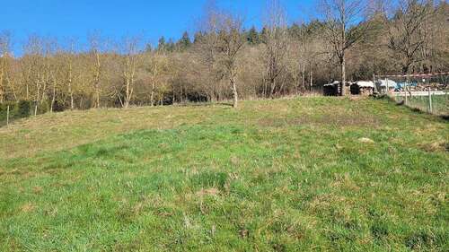 Foto - Grundstück zu verkaufen in Heimweiler 59.000,00 € 1200 m²