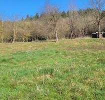 Grundstück zu verkaufen in Heimweiler 59.000,00 € 1200 m²