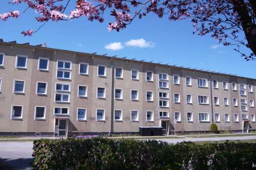 Foto - Wohnung zum Mieten in Franzburg 370,00 € 52.86 m²